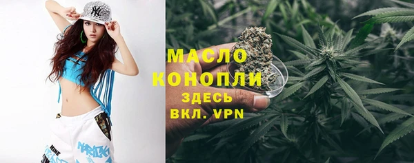 амф Верхний Тагил
