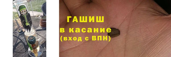 амф Верхний Тагил