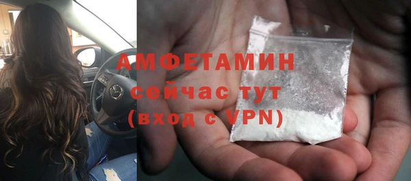 хмурый Верея