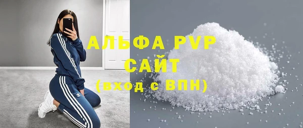 амф Верхний Тагил