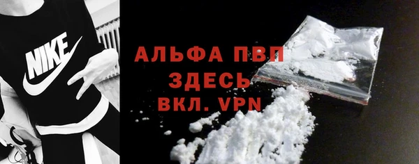 амф Верхний Тагил