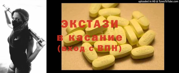 хмурый Верея
