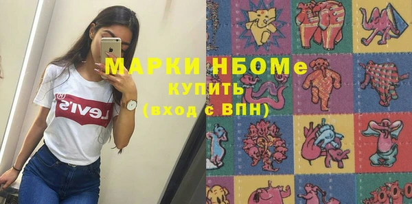 амф Верхний Тагил