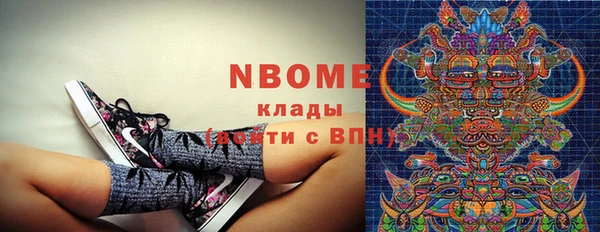 хмурый Верея